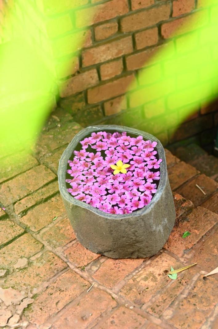 Bamboo And Bricks Resort Welhe 외부 사진